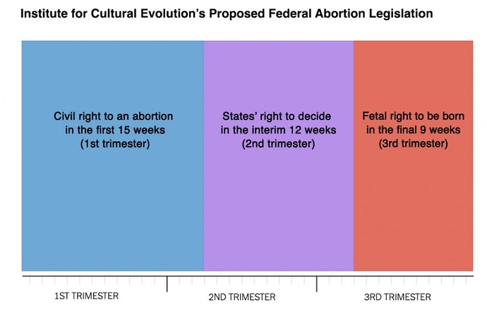 ICE%20abortion%20proposal