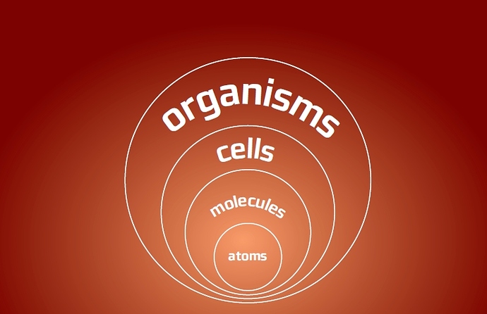 Atoms%20to%20organisms