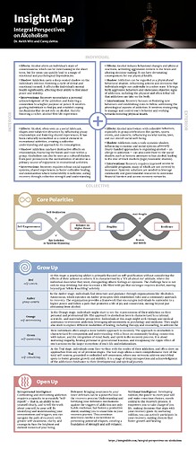 InsightMap-IntegralPerspectivesOnAlcoholism